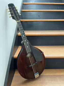 MANDOLIN W/BRIDGE PICKUP