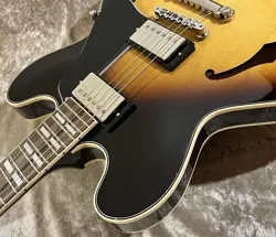 VINTAGE BURST SN224130172