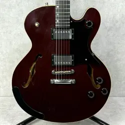 GUITAR/SEMI-ACOUSTIC