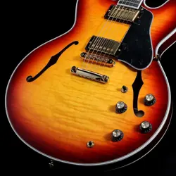 BURST ES-335 WITH