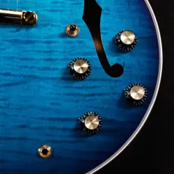 ES-335 WITH