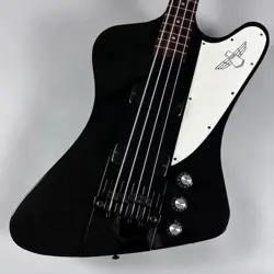 119031397 GIG CASE