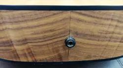 G-BIRD ACOUSTIC