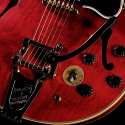 1959 ES-355 SLIM