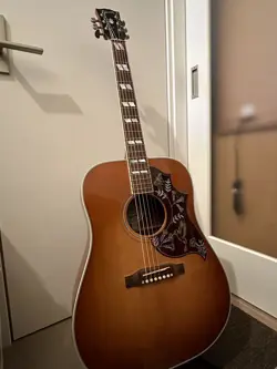 GIBSON HUMMINGBIRD 2017 NO.MG1248