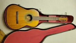 1960'S BEAUTIFUL