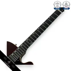 ELECTRIC GUITAR SIGNATURE