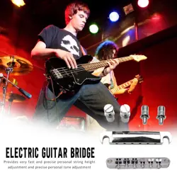 ELECTRIC GUITAR ACCESSORIES