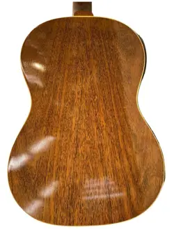 GUITAR/BODY
