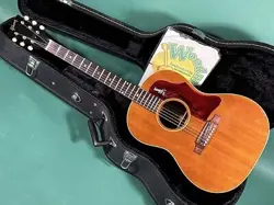 GIBSON B-25 NT