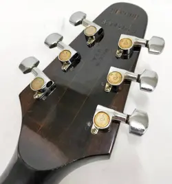 1981 NO.DG1699
