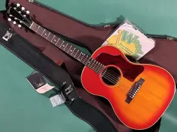 GIBSON B-25 CS
