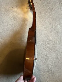 MANDOLIN PLAYS GREAT