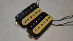 1980 SHAW GIBSON