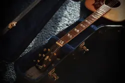 1960S HUMMINGBIRD ADJ