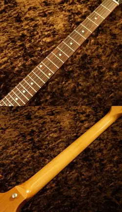 WALNUT 2019 ELECTRIC