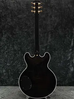 LEGACY-TRANSPARENT EBONY-