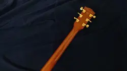 ATKINS SIGNATURE MODEL