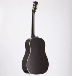 SUNBURST 2004 SAFE
