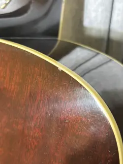 PRO ACOUSTIC GUITAR