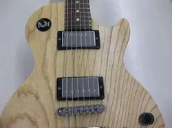 SWAMP ASH 2010