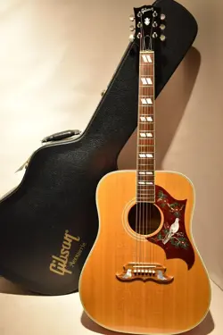DOVE 2013 ACOUSTIC