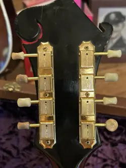 MANDOLIN NICE