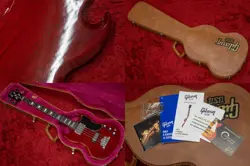 SG STANDARD BASS