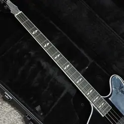GENE SIMMONS G2