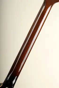 ES-335 REISSUE BURST