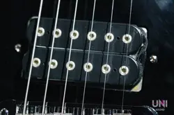 DIMARZIO 