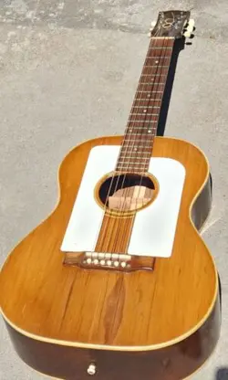FOLK SINGER ACOUSTIC