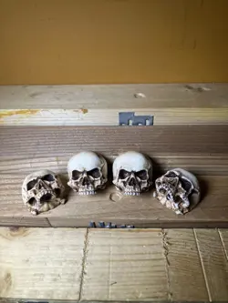 SKULL GUITAR KNOBS POTS TUNING FITS FENDER STRAT STRAT GIBSON LES PAUL SG SET