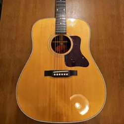 1996 SPRUCE TOP