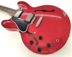 CUSTOM SHOP ESDPL335