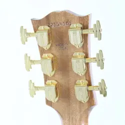 ROSEWOOD BURST GI..