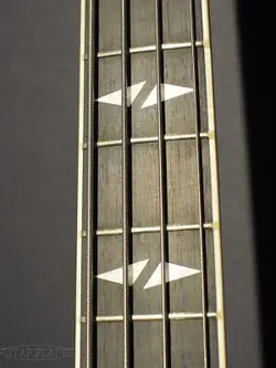THUNDERBIRD -EBONY- 3.96KG