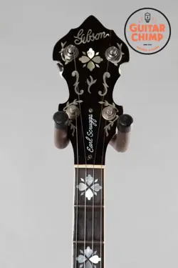 SCRUGGS STANDARD BANJO