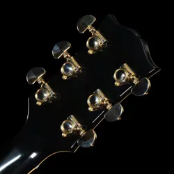 ES-355 BIGSBY