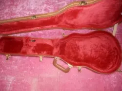 STANDARD/CUSTOM