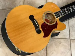 ACOUSTIC GUITAR FLAMEY