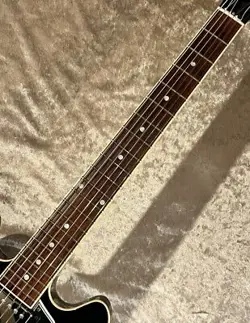 ES-339 EBONY