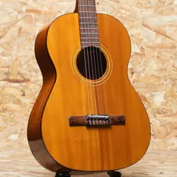 1962 1962 ACOUSTIC