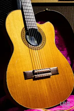 1988 ELECTRIC ACOUSTIC