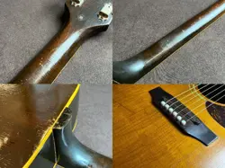 1970 ELECTRIC