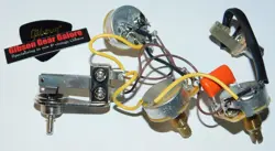 GIBSON FLYING V POT CONTROL ASSEMBLY CTS POTENTIOMETER GUITAR PARTS PROJECT 70S
