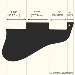 PICKGUARD STYLE