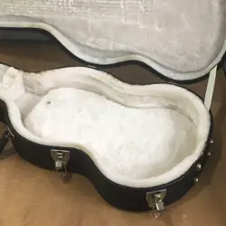 REPTILE