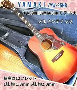 GIBSON HUMMING BIRD MODEL YAMAKI YW-25HR