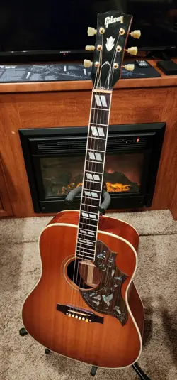 HUMMINGBIRD 2005 SPECIAL